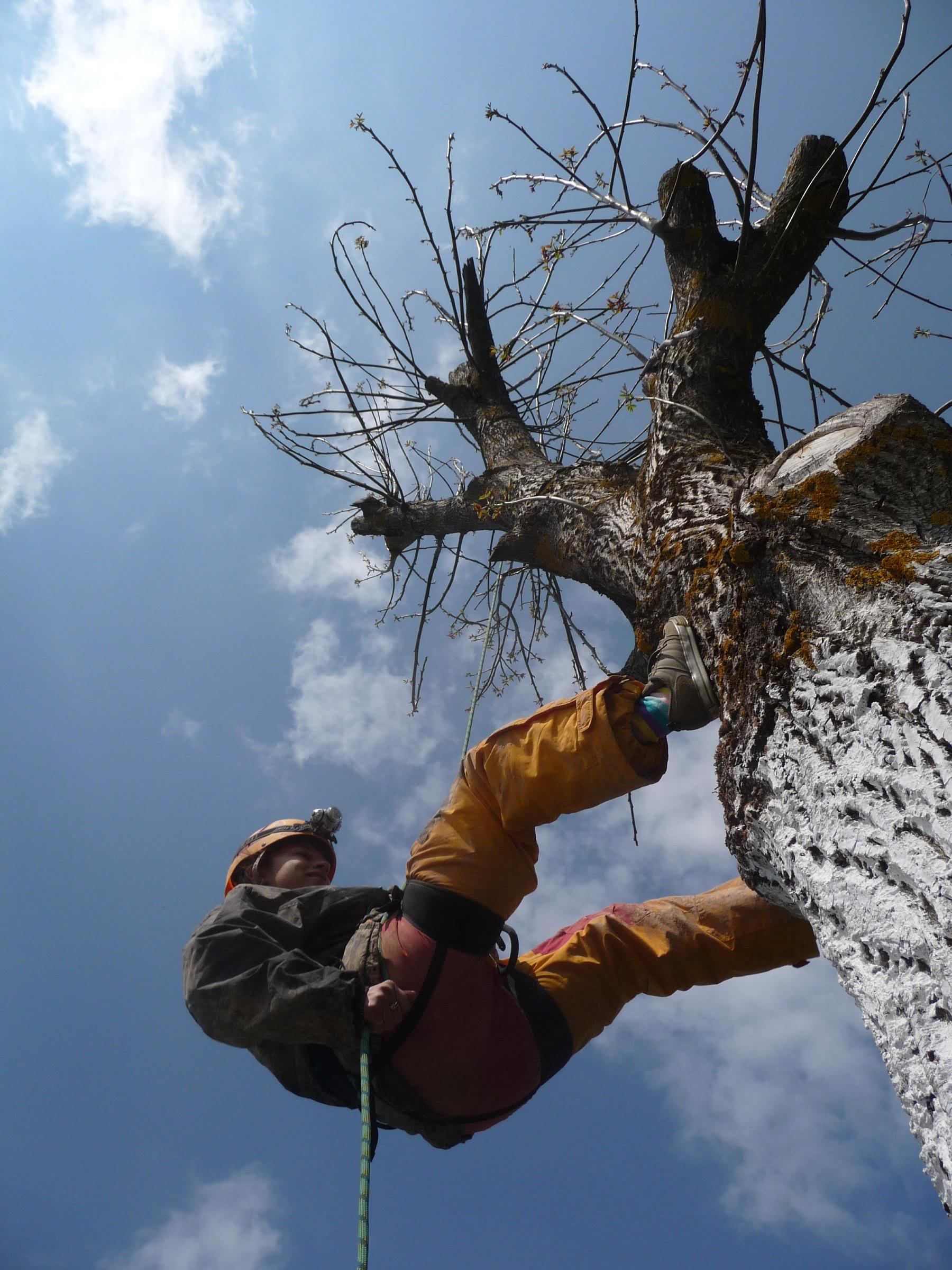 Asa am descoperit Apusenii...