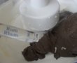 Prajitura cu frisca, ciocolata si alune-1