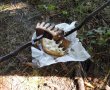 Clisă friptă şi pită picurată-4