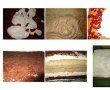 Tort cu cale-6