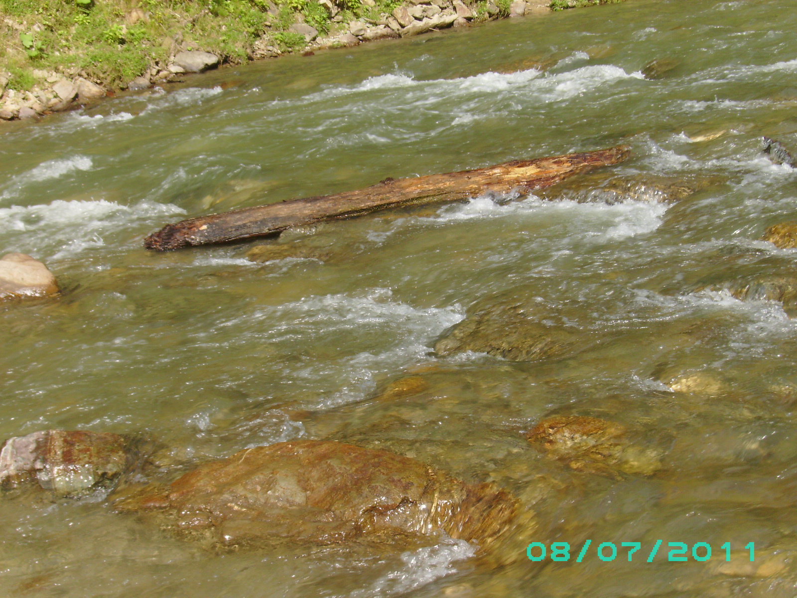Hai hui prin Maramureş (4)-Cu Mocănița pe Valea Vaserului