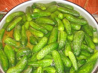 Castraveti in saramura