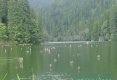 Vacanţă în adidaşi (3)- Lacul Roşu si Cheile Bicazului-3