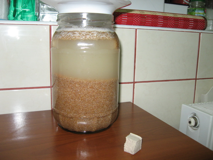 Bors facut in casa