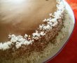 Tort Opera-0