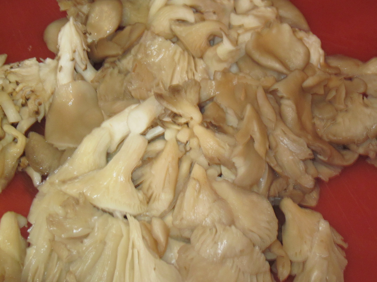 Pulpa de porc cu pleutorus