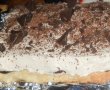 Prajitura cu nuca de cocos si ciocolata-1