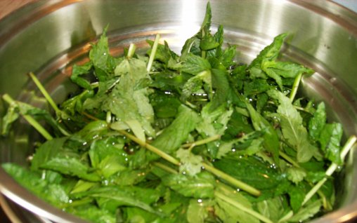 REMEDII "BABESTI"