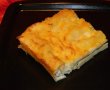 Cannelloni cu branza-14