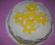 Tort de ciocolata-1