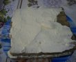 Prajitura cu piscoturi-6