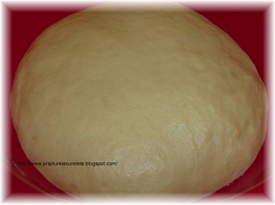 Branzoaice moldovenesti