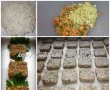 Mini-bites din crakers cu legume si pasta de linte cu migdale-0