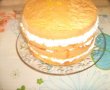 Tort cu frisca-5