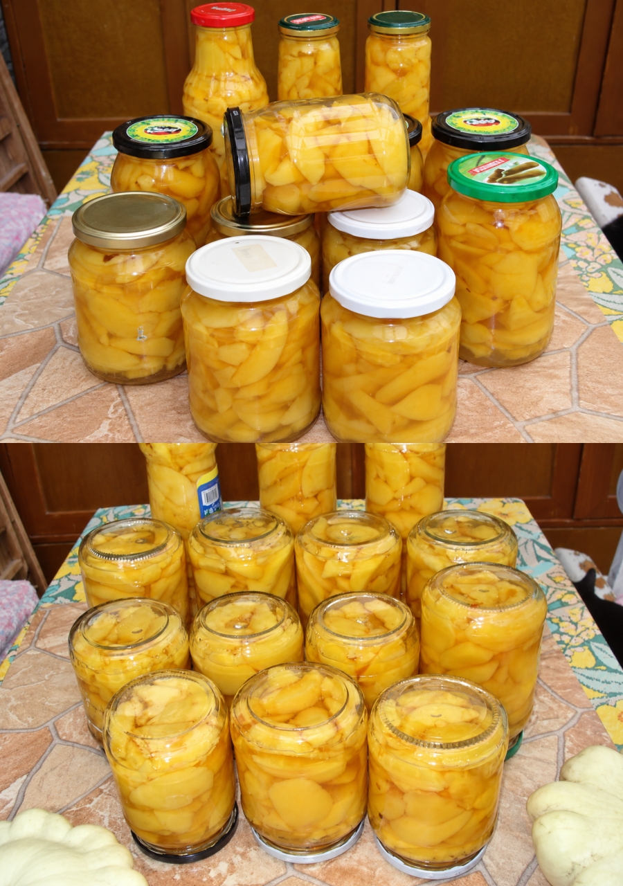 Compot de gutui