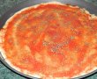 Pizza cu de toate (motaneasca)-3