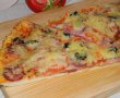 Pizza cu de toate (motaneasca)-23