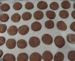 Biscuiti cu ciocolata si ghimbir-6