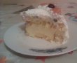 Tort Diplomat-2