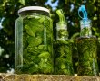 Lichior de menta-17