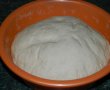Pizza casei-1