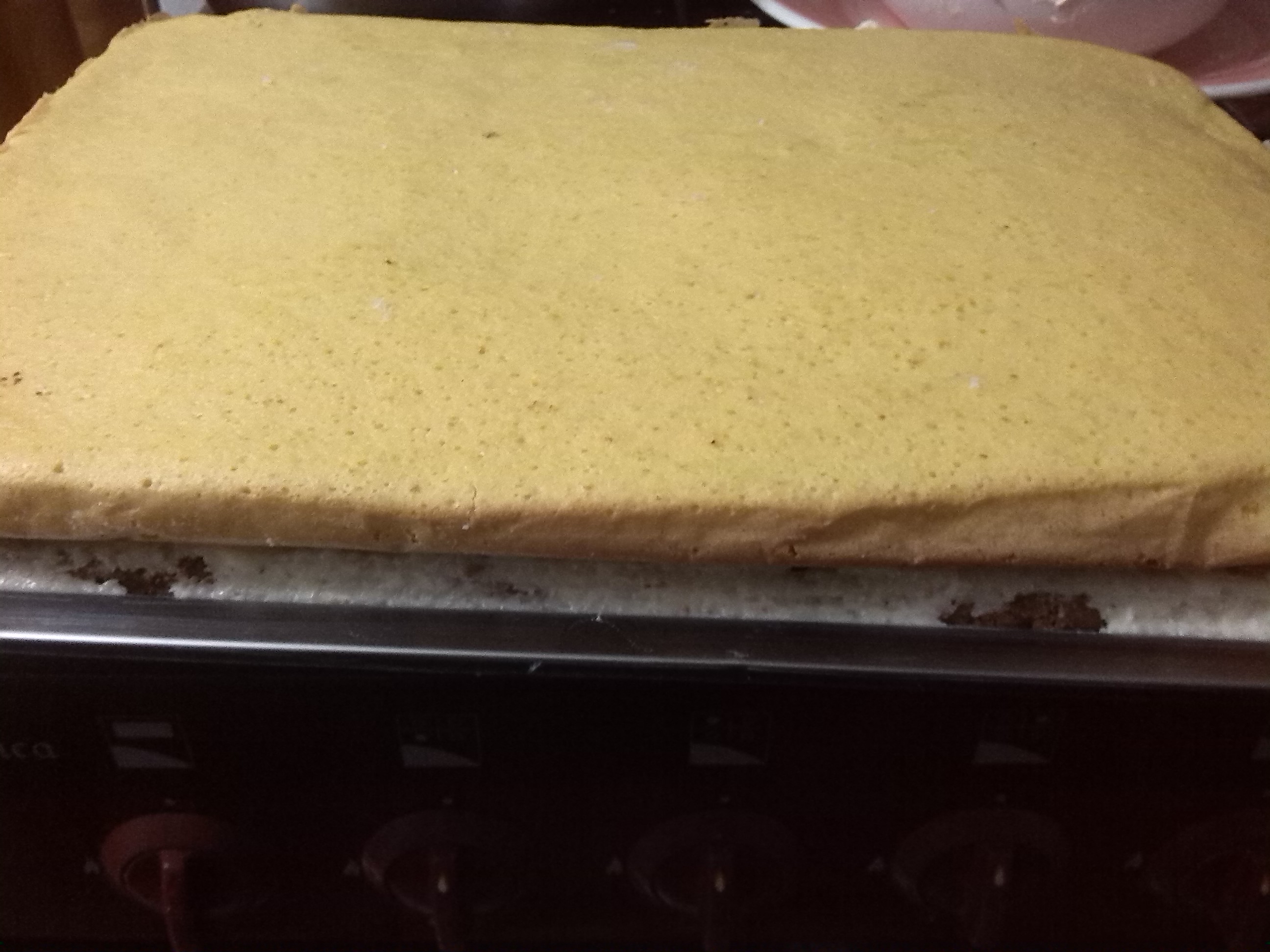 Prajitura cu ciocolata si crema de cocos