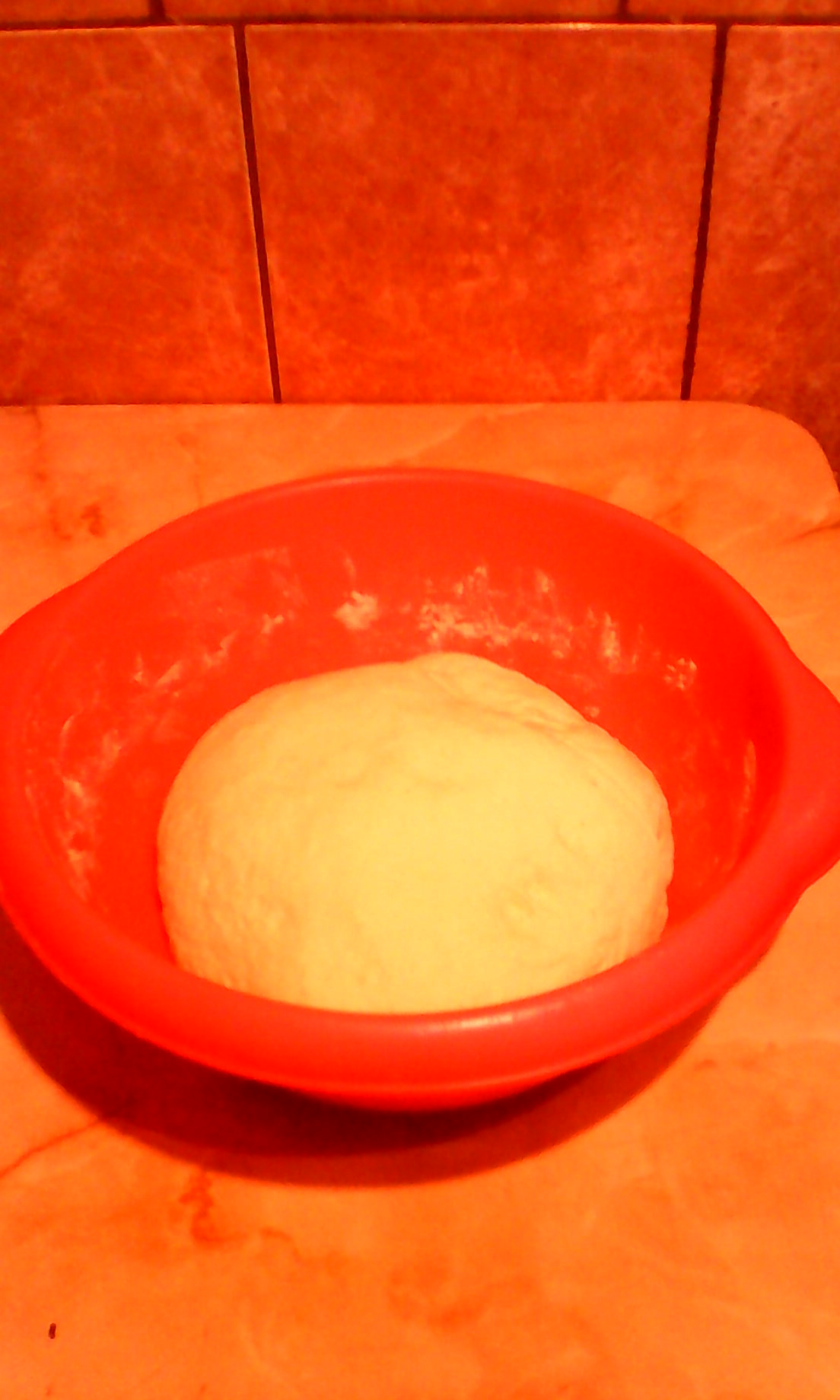 Paine de casa