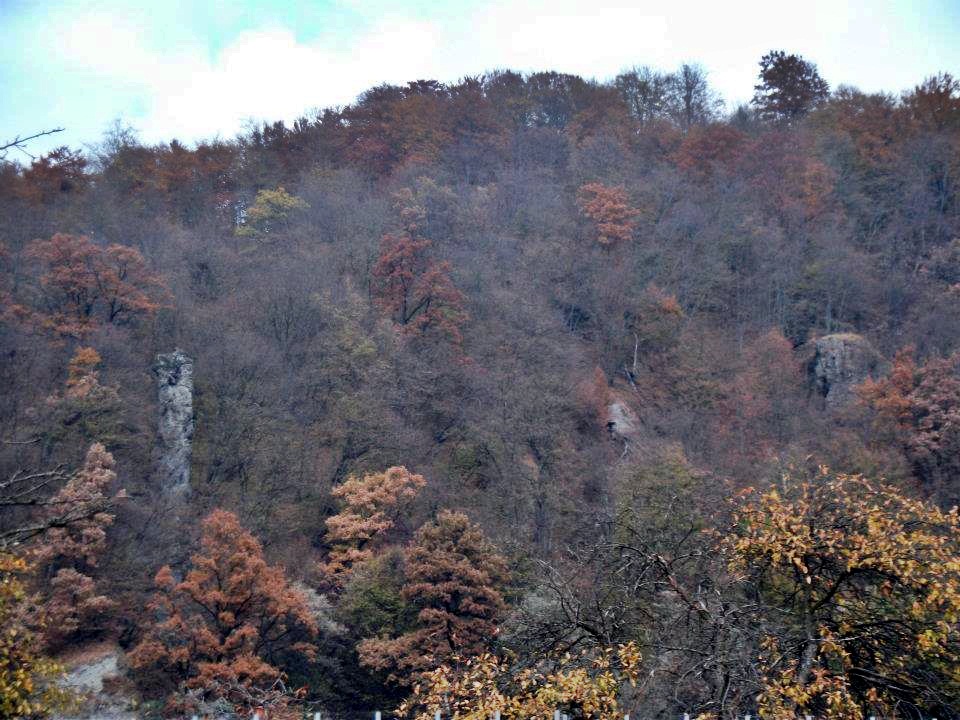 Din copilarie - 1. La cules de zmeura Rastolita Iod (iod)