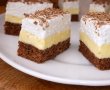 Prajitura Inghetata - Reteta unui desert delicios si cremos-4