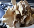 Tocanita de pleurotus cu naut-1