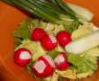 Salata-2