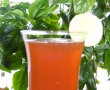 Sirop din muguri de brad (pentru iarna)-23