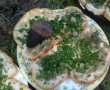 Clisa fripta si pita picurata-3