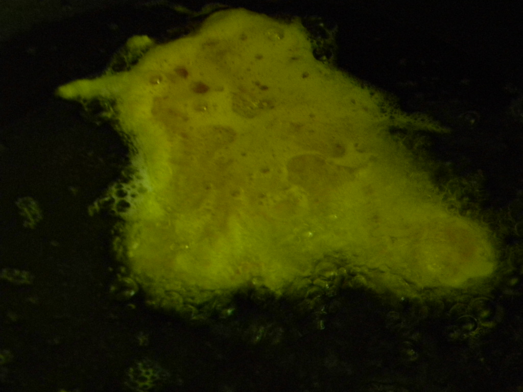 Snitel de curcan cu iaurt si tarhon