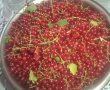 Prajitura cu fructe, crema de vanilie si frisca-0