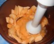 Inghetata cu pepene galben-2