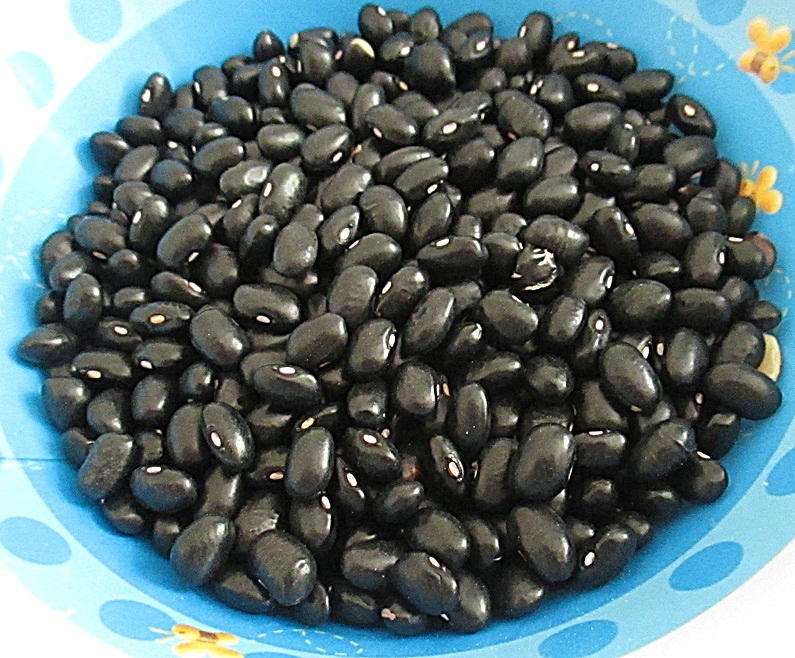 Salata cu fasole neagra