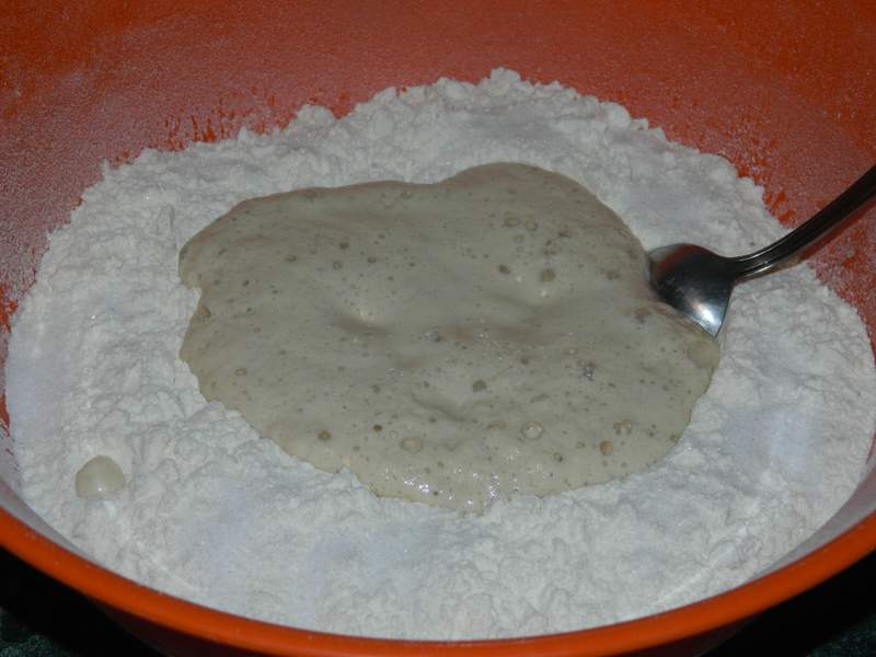 Paine de casa