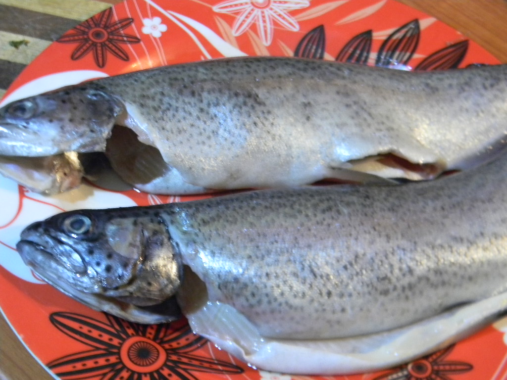 PASTRAV CU CIMBRU SI ROZMARIN