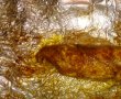 Rulada din piept de pui cu ierburi aromate-4