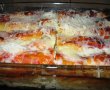 Cannelloni cu pui-0