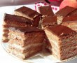 Prajitura cu foi de cacao si crema de cocos-10