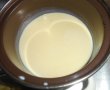 Inghetata cu ciocolata alba si caise-1