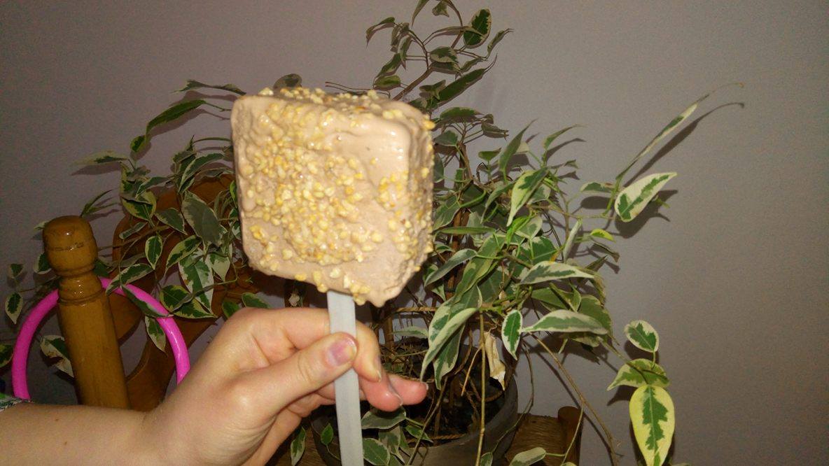 Desert inghetata cu Nutella