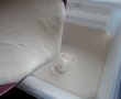 Desert inghetata de vanilie / Reteta cu nr. 100-5