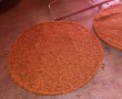 Desert tort cu blat pufos de nuca si crema de ness-1