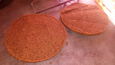 Desert tort cu blat pufos de nuca si crema de ness