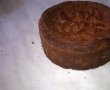 Desert tort Bianca-5