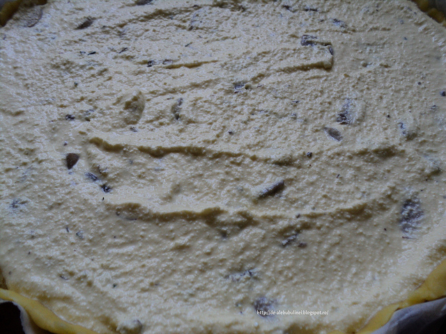 Aperitiv tarta cu branza si ciuperci