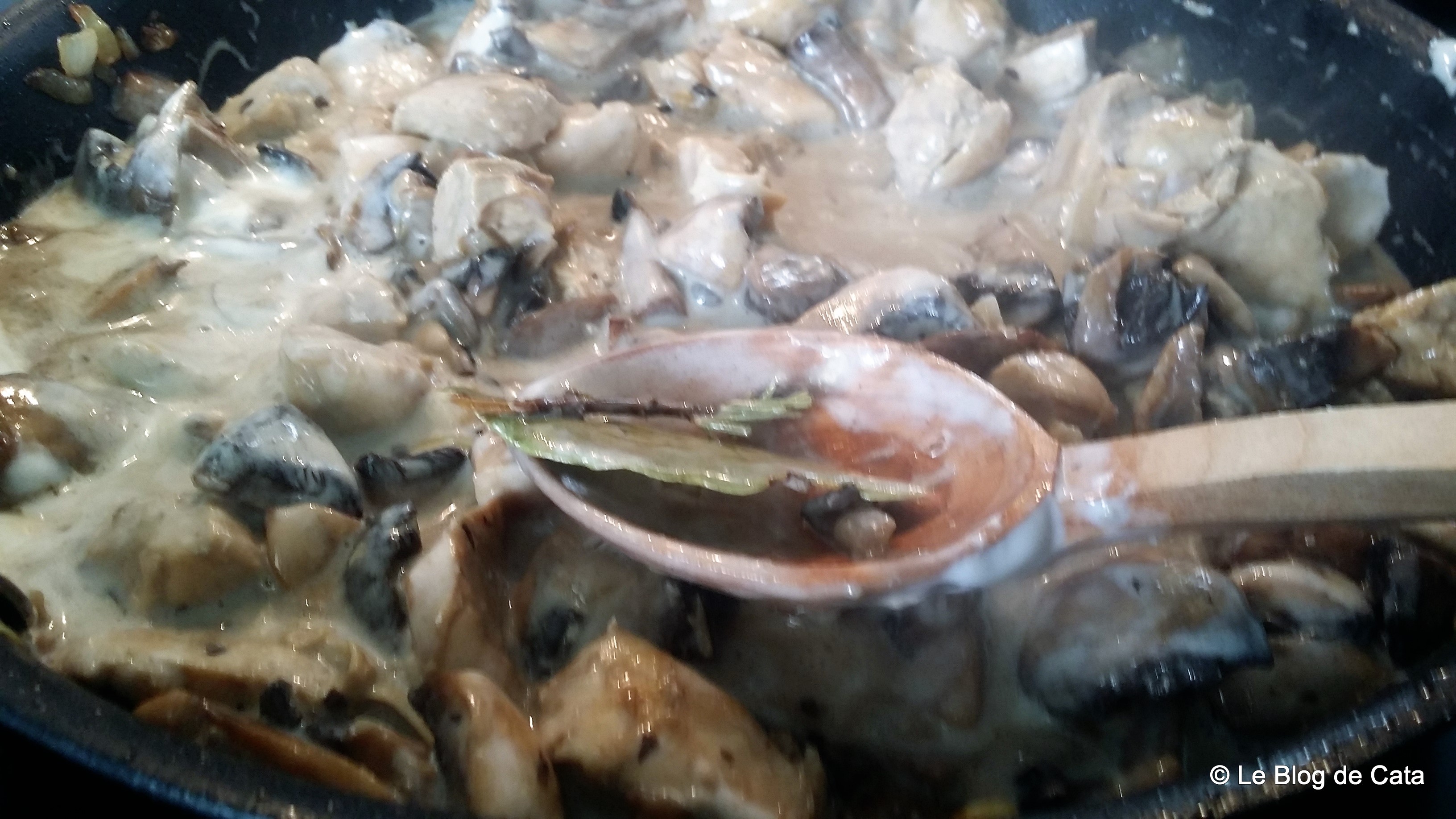 Paste farfalle cu pui, smantana si ciuperci